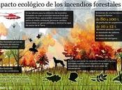 Incendios forestales: Impacto ecológico riesgos para salud