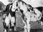 hazaña caballos.