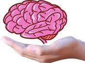 descubrimiento área cerebral humanos marca diferencia.