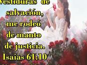 Remordimiento comprador
