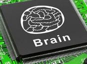 Neuromanagement: Cerebros Mentes Digitales