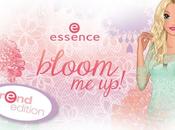 Nueva colección Essence, Bloom brochas!
