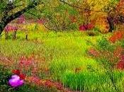 própositto nacinal poesía...