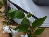 helado vainilla verdad chau verano