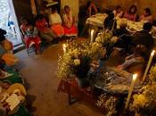 Ambulante 2014/VI