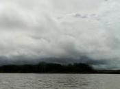 Orientación profesional: ¿cuál prefieres? carta generalista