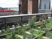 High Line Park: Camino rehabilitación urbana sostenible
