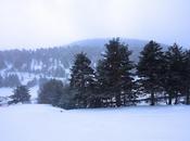 Domingo nevado Navacerrada