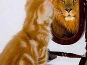 Contra (mi) perfeccionismo