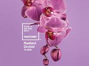 color 2014: Orquidea Radiante