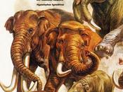 ZOOBOOKS: Antepasados elefantes