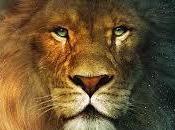 Soñar león leones. Significado real sueños leones