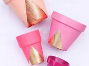 Decora macetas Cost