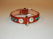 Collares especiales para perro