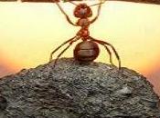 Conoce cambios conducta provoca Mobbing Acoso Laboral