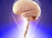 Gestión conocimiento