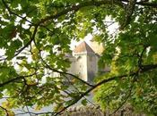Castillo Chillon: Suiza Medieval