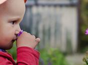 Variables compartidas entre procesos hijos [fork()]