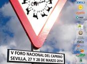 Sevilla acogerá foro debate sector caprino español próximo marzo
