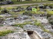 Necrópolis Casar Asno Menasalvas,Toledo