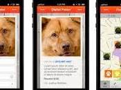 para perros perdidos