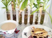 Receta Cestitas Frutos Rojos