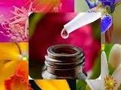 ¿Conoces Flores Bach?