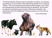 Bienestarismo Bienestar Animal: algunas aclaraciones