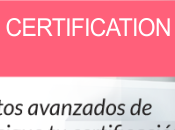 Certifícate como profesional revolucionaria publicidad Google