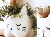 Cute things!!