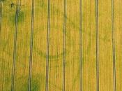 Sequía, gran aliada arqueólogo