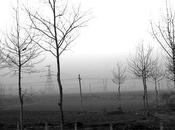 otra españa sufre calla