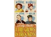 1001 FILMS: 1066 tree grows Brooklyn