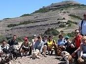 Senderismo perros