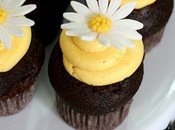 E-book Gratis: recetas favoritas Cupcakes