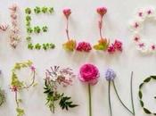 Hello Spring