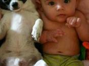 Niños Perros