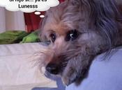 Estamos Agustito XXXVI. Lunes...