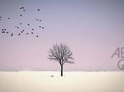 Abel ganz presenta campaña para publicación nuevo trabajo