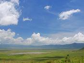 Ngorongoro. Cráter Vida