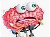 Refrescando neuronas