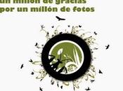 NEWS salido nuevo número