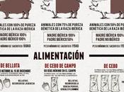 Cerdo Ibérico: normativa #Cerdo #Alimentación #Infografía