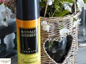 hemos probado: ambientador royale ambree