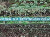 Anoniman. hombre escribía mensajes autopista