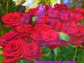 rose.