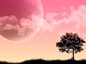 Soledad