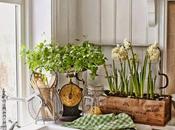 Detalles Rusticos