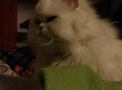 Estamos Agustito XXXVIII. Cada loco tema