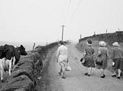 inconformistas Martin Parr